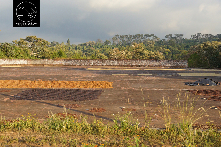 Sušení na betonovém plácku – Buena Vista, El Salvador.