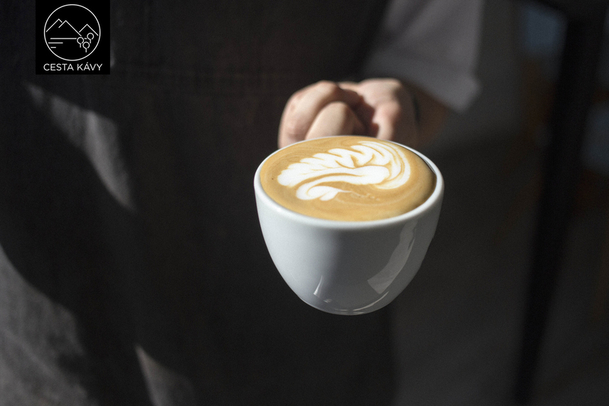 Hotový Latte art Labutě.